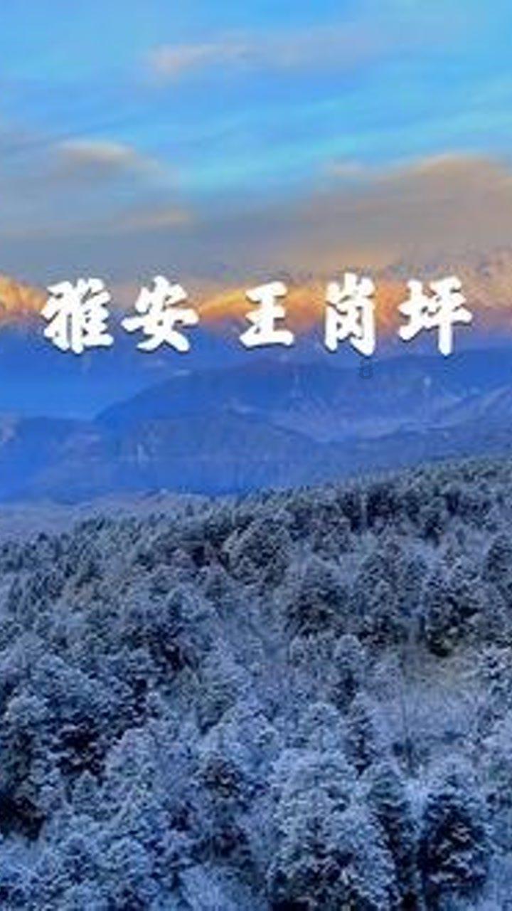 城市连接2