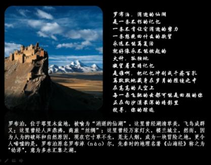 足球啦啦队员